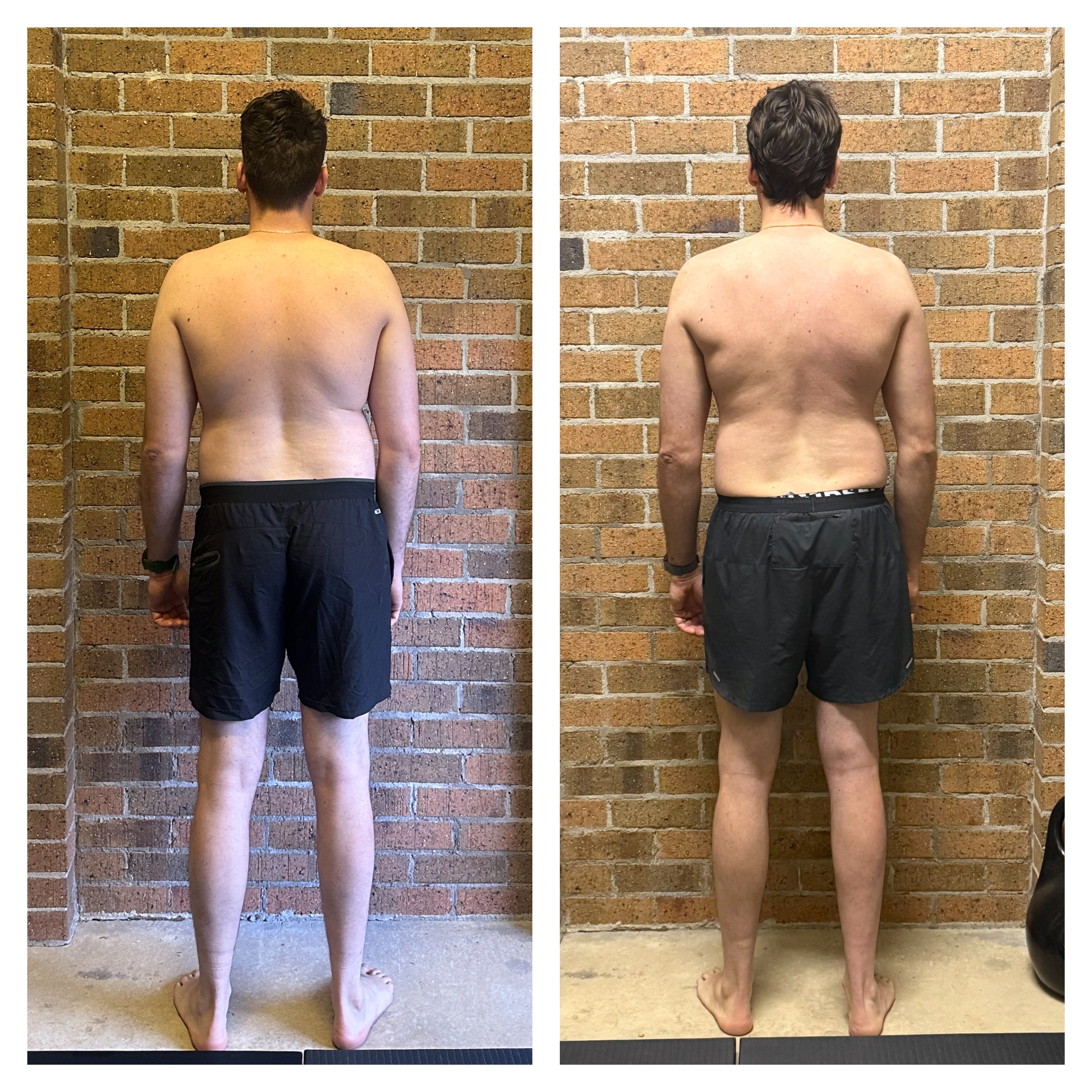 Taras back view — improved symmetry